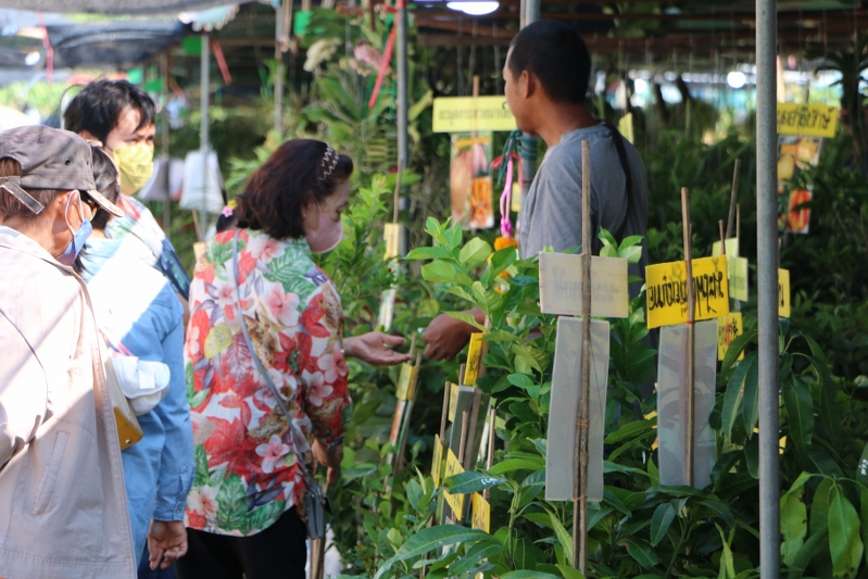 ม.นครพนม เปิดงานเกษตรลุ่มน้ำโขง ครั้งที่ 24 ภายใต้แนวคิด “เกษตร DIY ง่าย ๆ พาลงมือทำ”