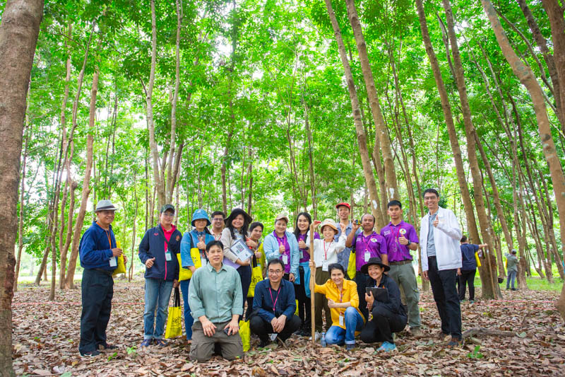 คณะวิทยาศาสตร์ลงพื้นที่ อบรมเชิงปฏิบัติการ การวางแปลงสำรวจพรรณไม้เพื่อคำนวณปริมาณการกักเก็บคาร์บอนของโครงการลดก๊าซเรือนกระจก เพื่อการขึ้นทะเบียนและรับรองคาร์บอนเครดิต (วันที่ 2) (The Faculty of Science conducted a field visit to provide practical training on establishing tree survey plots to calculate the carbon sequestration potential of the Greenhouse Gas Reduction Project for carbon credit registration and certification (Day 2).)
