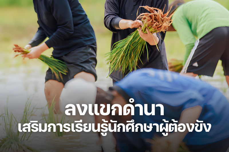 [Scoop] สืบสานภูมิปัญญาท้องถิ่น “ลงแขกดำนา