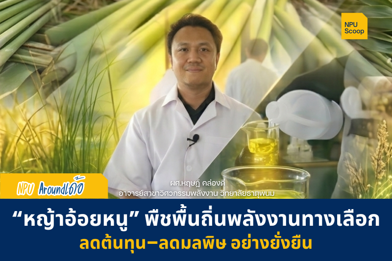 [Scoop] : นักวิจัย ม.นครพนม ค้นพบ “หญ้าอ้อยหนู” พืชพื้นถิ่นพลังงานทางเลือก ช่วยลดต้นทุน–ลดมลพิษ อย่างยั่งยืน