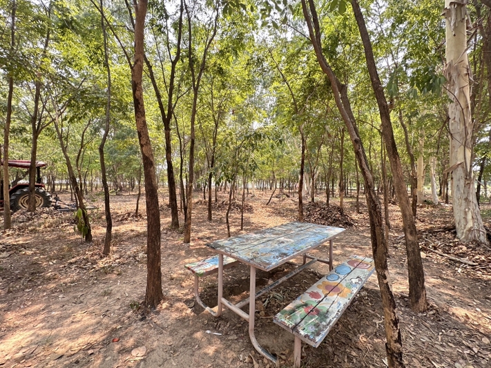 ม.นครพนม จัดกิจกรรมปรับภูมิทัศน์พัฒนามหาวิทยาลัย เฉลิมพระเกียรติพระบาทสมเด็จพระเจ้าอยู่หัว เนื่องในโอกาสพระราชพิธีมหามงคลเฉลิมพระชนมพรรษา 6 รอบ