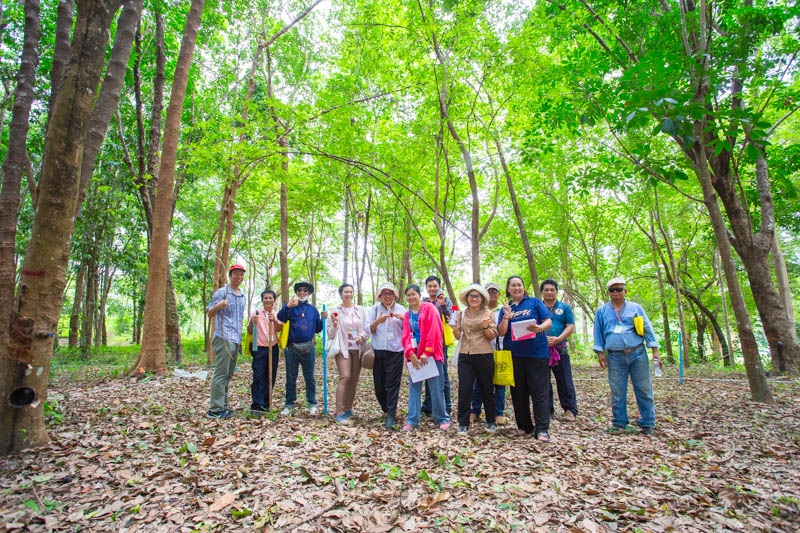 คณะวิทยาศาสตร์ลงพื้นที่ อบรมเชิงปฏิบัติการ การวางแปลงสำรวจพรรณไม้เพื่อคำนวณปริมาณการกักเก็บคาร์บอนของโครงการลดก๊าซเรือนกระจก เพื่อการขึ้นทะเบียนและรับรองคาร์บอนเครดิต (วันที่ 2) (The Faculty of Science conducted a field visit to provide practical training on establishing tree survey plots to calculate the carbon sequestration potential of the Greenhouse Gas Reduction Project for carbon credit registration and certification (Day 2).)
