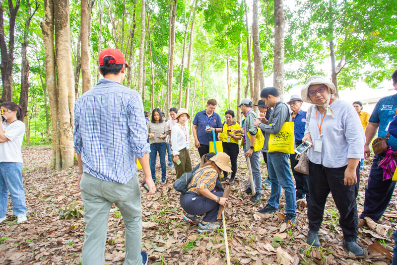 คณะวิทยาศาสตร์ลงพื้นที่ อบรมเชิงปฏิบัติการ การวางแปลงสำรวจพรรณไม้เพื่อคำนวณปริมาณการกักเก็บคาร์บอนของโครงการลดก๊าซเรือนกระจก เพื่อการขึ้นทะเบียนและรับรองคาร์บอนเครดิต (วันที่ 2) (The Faculty of Science conducted a field visit to provide practical training on establishing tree survey plots to calculate the carbon sequestration potential of the Greenhouse Gas Reduction Project for carbon credit registration and certification (Day 2).)