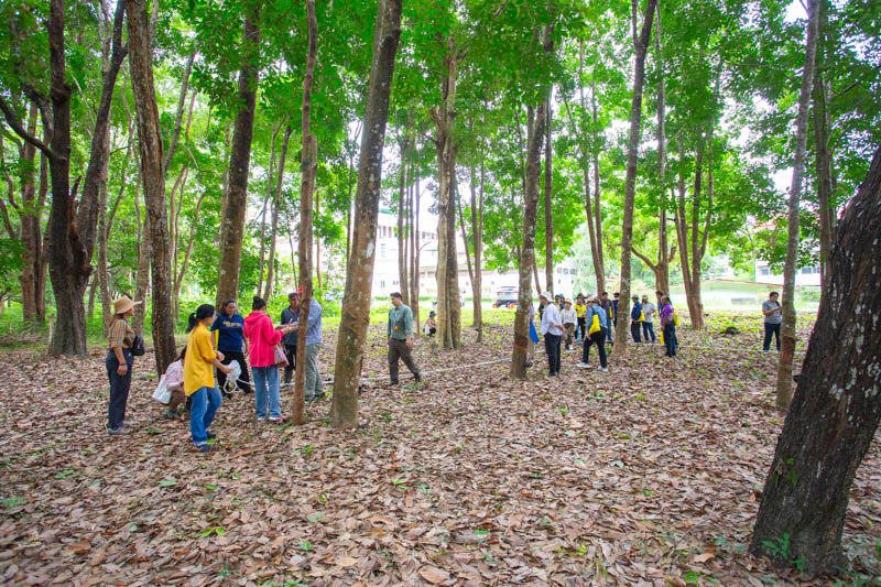 คณะวิทยาศาสตร์ลงพื้นที่ อบรมเชิงปฏิบัติการ การวางแปลงสำรวจพรรณไม้เพื่อคำนวณปริมาณการกักเก็บคาร์บอนของโครงการลดก๊าซเรือนกระจก เพื่อการขึ้นทะเบียนและรับรองคาร์บอนเครดิต (วันที่ 2) (The Faculty of Science conducted a field visit to provide practical training on establishing tree survey plots to calculate the carbon sequestration potential of the Greenhouse Gas Reduction Project for carbon credit registration and certification (Day 2).)