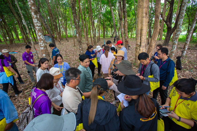 คณะวิทยาศาสตร์ลงพื้นที่ อบรมเชิงปฏิบัติการ การวางแปลงสำรวจพรรณไม้เพื่อคำนวณปริมาณการกักเก็บคาร์บอนของโครงการลดก๊าซเรือนกระจก เพื่อการขึ้นทะเบียนและรับรองคาร์บอนเครดิต (วันที่ 2) (The Faculty of Science conducted a field visit to provide practical training on establishing tree survey plots to calculate the carbon sequestration potential of the Greenhouse Gas Reduction Project for carbon credit registration and certification (Day 2).)