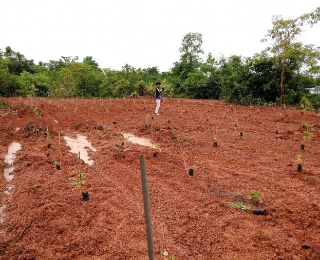 ม.นครพนม ร่วมปลูกต้นไม้เฉลิมพระเกียรติพระบาทสมเด็จพระเจ้าอยู่หัว เนื่องในโอกาสมหามงคลเฉลิมพระชนมพรรษา 6 รอบ 28 กรกฎาคม 2567