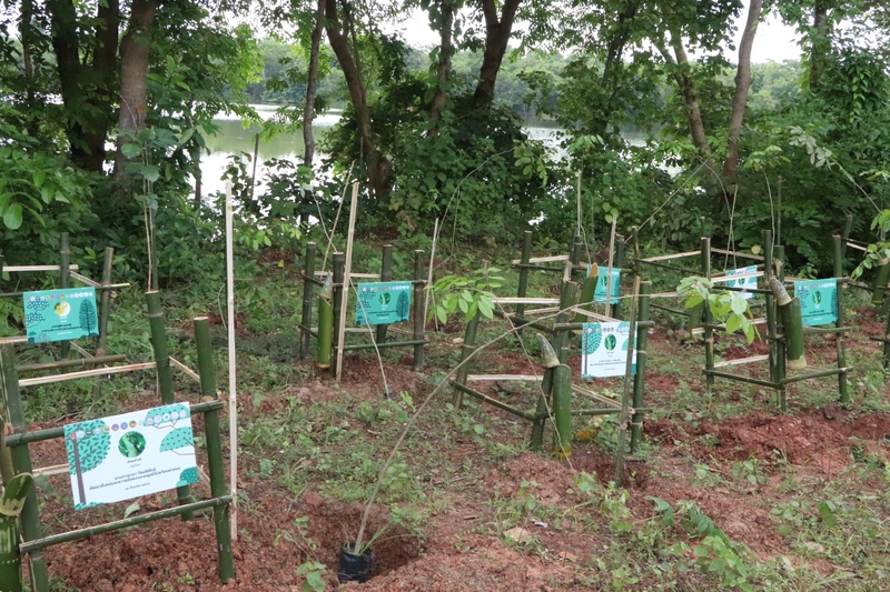 จิตอาสา 904 ม.นครพนม ร่วมกิจกรรมปลูกป่าเฉลิมพระเกียรติพระบาทสมเด็จพระเจ้าอยู่หัวเนื่องในโอกาสมหามงคลเฉลิมพระชนมพรรษา 6 รอบ 72 พรรษา