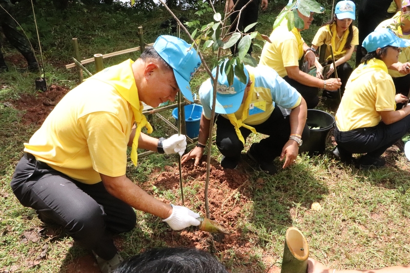 จิตอาสา 904 ม.นครพนม ร่วมกิจกรรมปลูกป่าเฉลิมพระเกียรติพระบาทสมเด็จพระเจ้าอยู่หัวเนื่องในโอกาสมหามงคลเฉลิมพระชนมพรรษา 6 รอบ 72 พรรษา