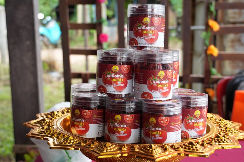 NPU Helps Farmers Add Value to Tomato Production