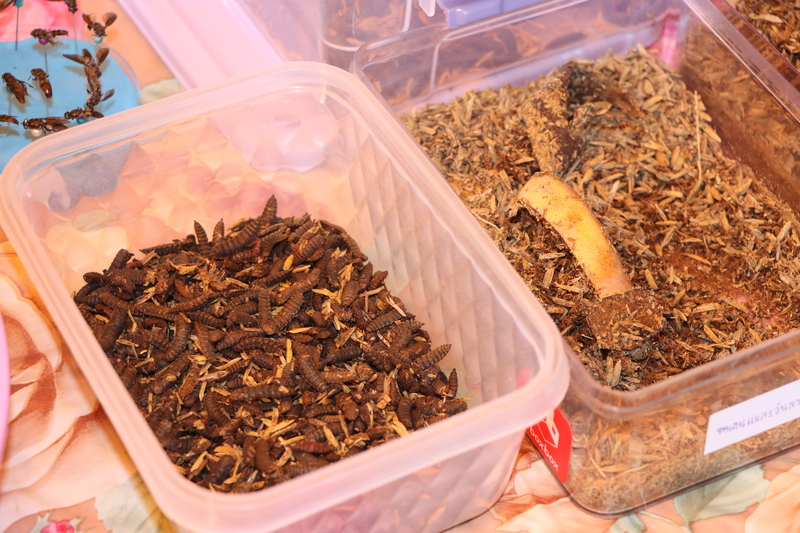 ม.นครพนม แถลงข่าวเตรียมจัดงานเกษตรลุ่มน้ำโขง ครั้งที่ 26 ภายใต้แนวคิด “BCG เกษตรพื้นถิ่นสู่ความยั่งยืน”