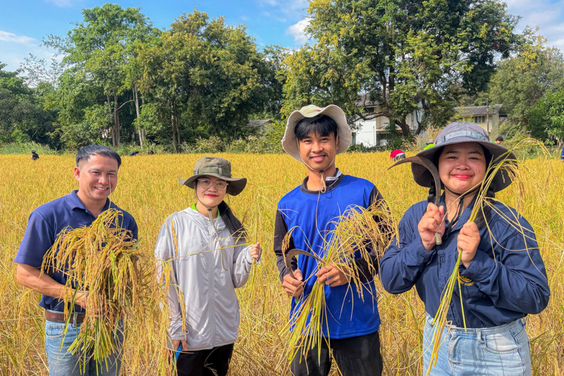 “ลงแขกเกี่ยวข้าว” สืบสานวิถีพอเพียง ปลูกฝังวินัย ฟื้นฟูจิตใจนักศึกษาผู้ต้องขัง